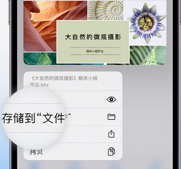 江津apple维修中心分享iPhone文件应用中存储和找到下载文件