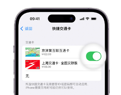 江津apple维修点分享iPhone上更换Apple Pay快捷交通卡手绘卡面 