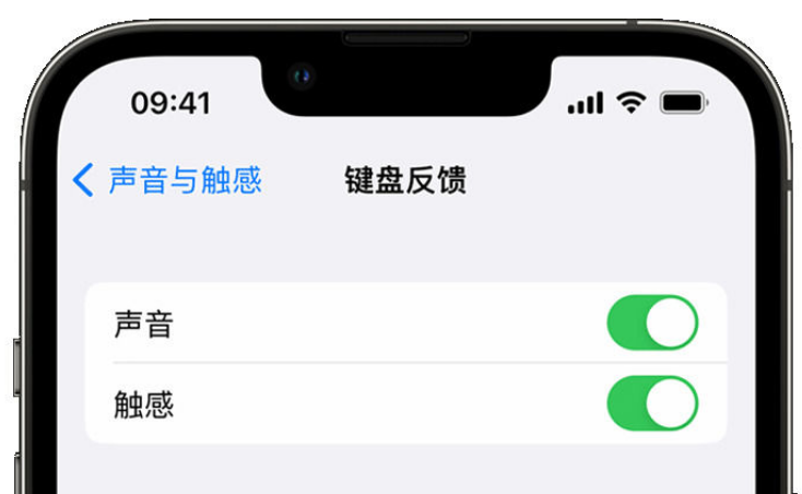 江津苹果手机维修分享iPhone 14触感键盘使用方法 