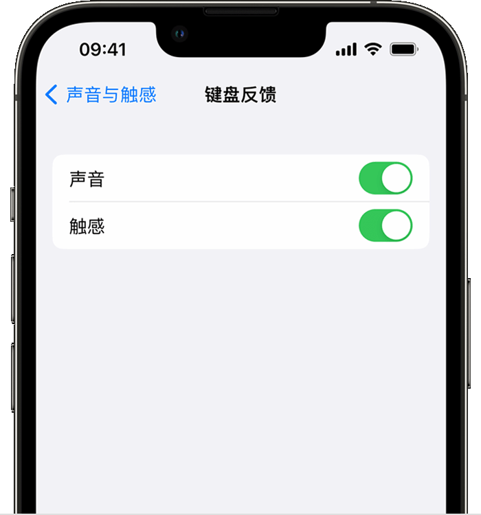 江津苹果14维修店分享如何在 iPhone 14 机型中使用触感键盘 