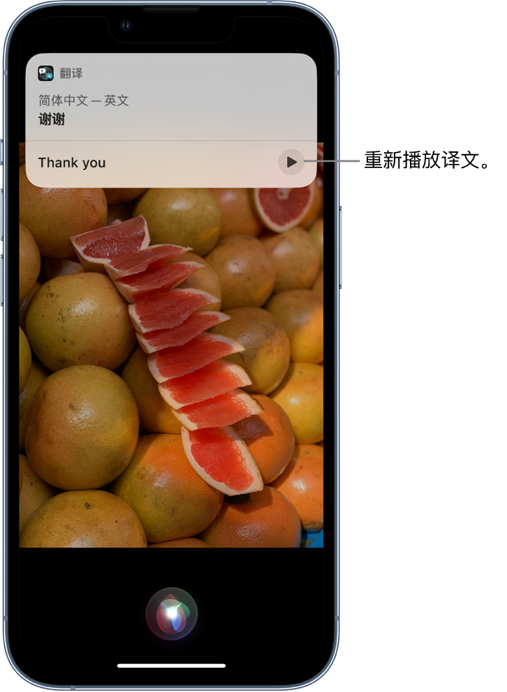 江津苹果14维修分享 iPhone 14 机型中使用 Siri：了解 Siri 能帮你做什么 