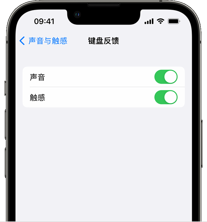 江津苹果14维修分享iPhone 14 系列机型如何开启键盘声音或触感反馈 