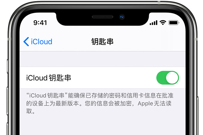 江津苹果手机维修分享在 iPhone 上开启 iCloud 钥匙串之后会储存哪些信息 