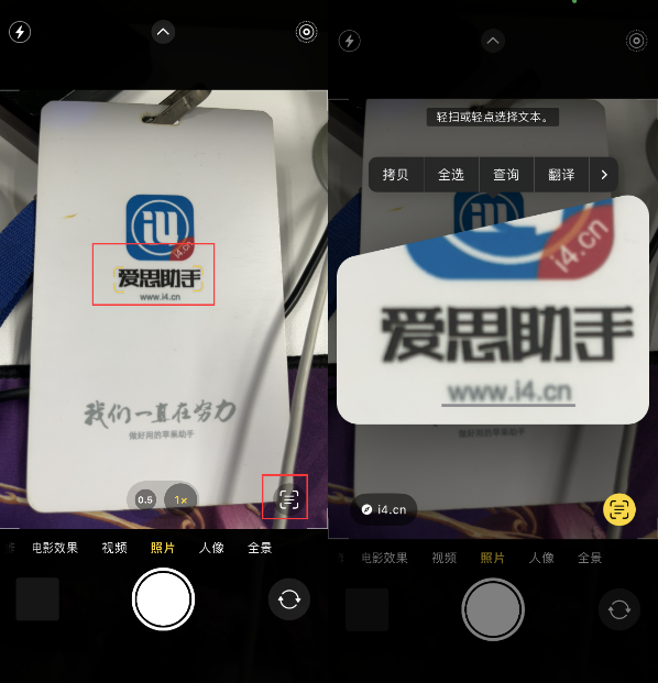 江津苹果手机维修分享升级iOS 16后如何通过相机翻译文本 