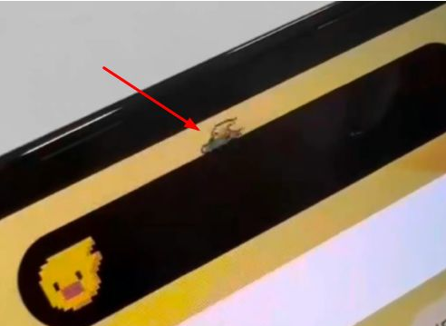 江津苹果14维修分享iPhone 14 Pro Max灵动岛怎么养宠物 