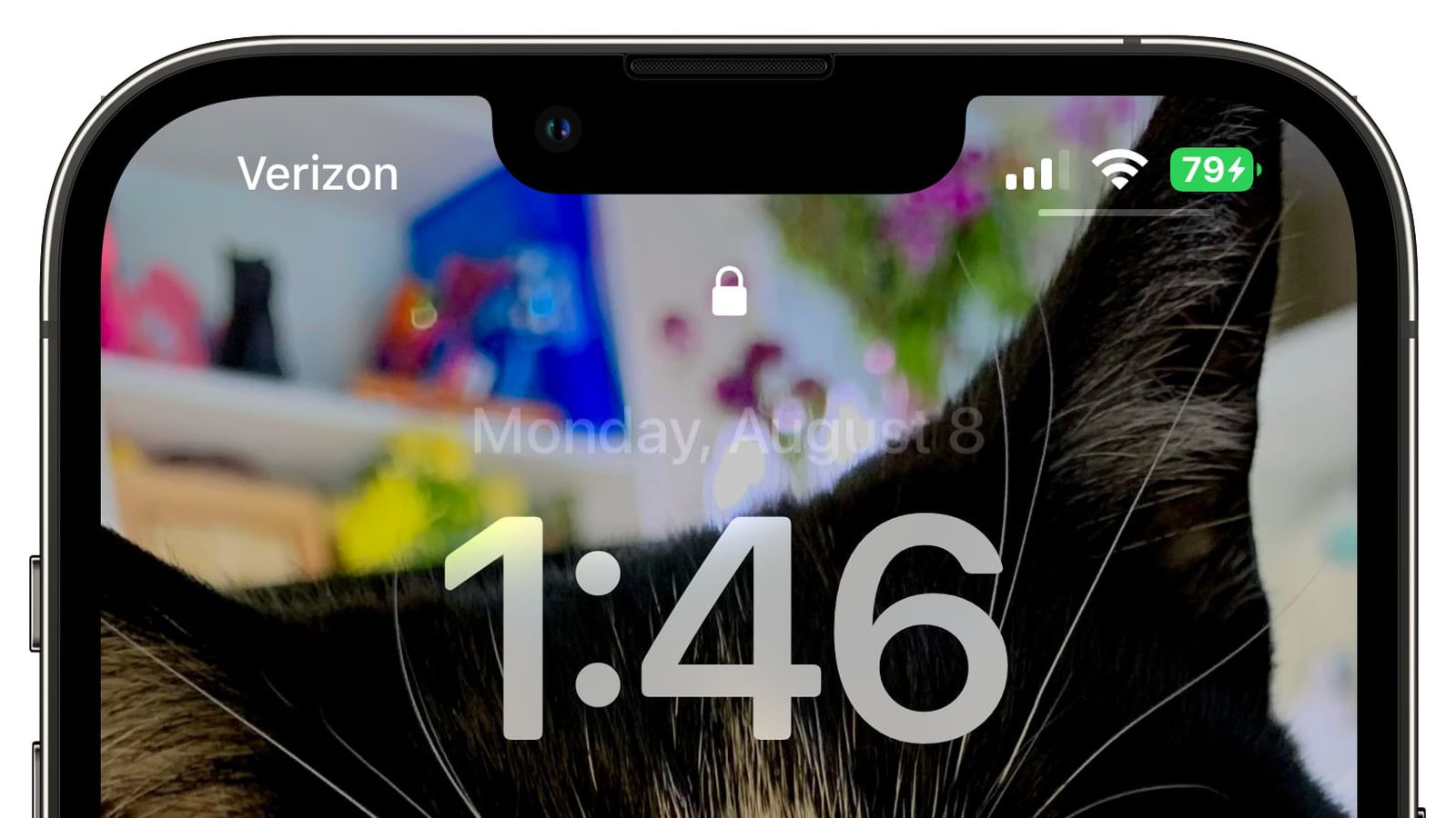 江津苹果手机维修分享iOS 16 beta 5 支持状态栏显示电池百分比，如何开启？支持哪些机型 