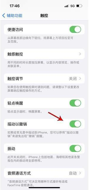 江津苹果手机维修分享iPhone手机如何设置摇一摇删除文字 