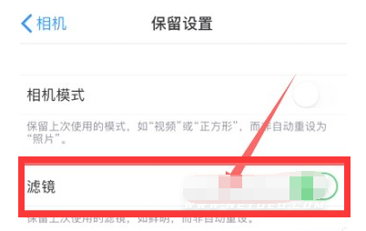 江津苹果13维修分享iPhone13拍照有绿点是怎么回事 