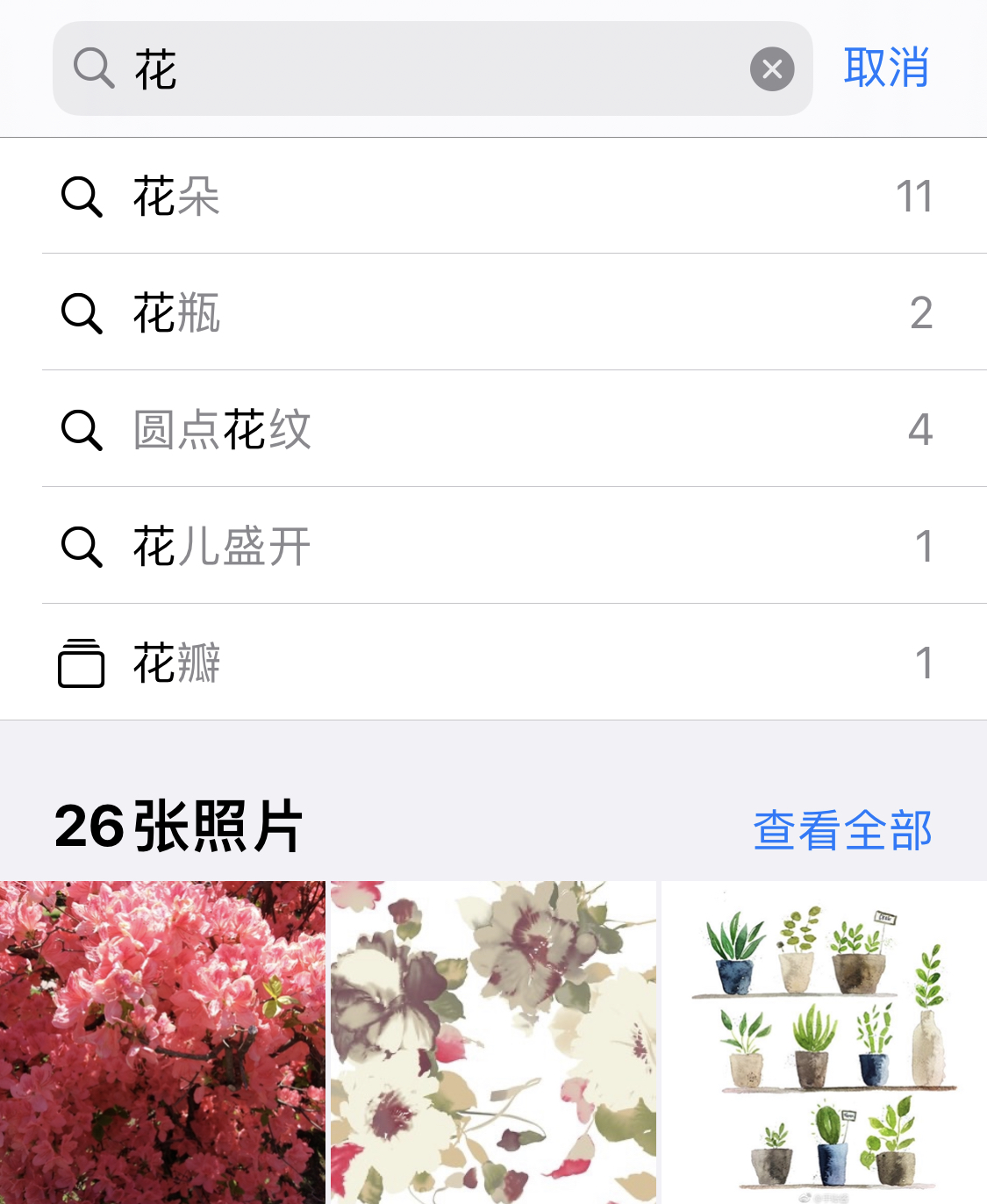 江津苹果手机维修分享iPhone 小技巧 