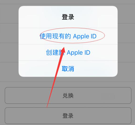 江津苹果手机维修分享两台iPhone设备可以同时登录一个Apple ID吗 