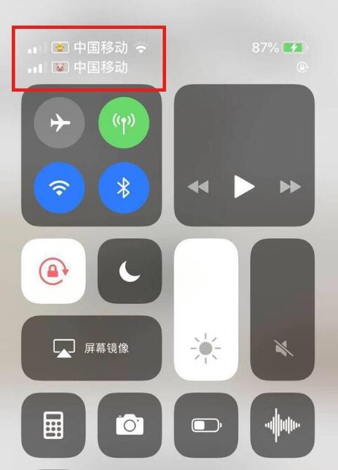 江津苹果手机维修分享为 iPhone 12 双卡设置标签 