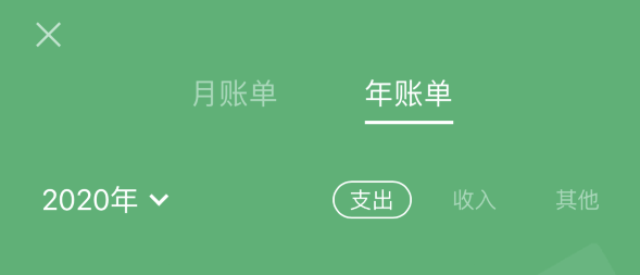 江津苹果手机维修分享如何在 iPhone 上查看支付宝和微信年支出账单 